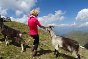 Venina, Masoni, Pes Gerna, tris di cime in cresta da Carona-Rif. Longo il 5 agosto 2017 - FOTOGALLERY